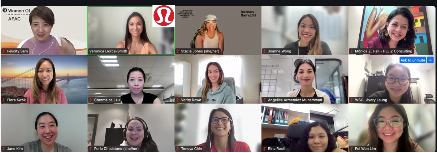 Picture of the webinar